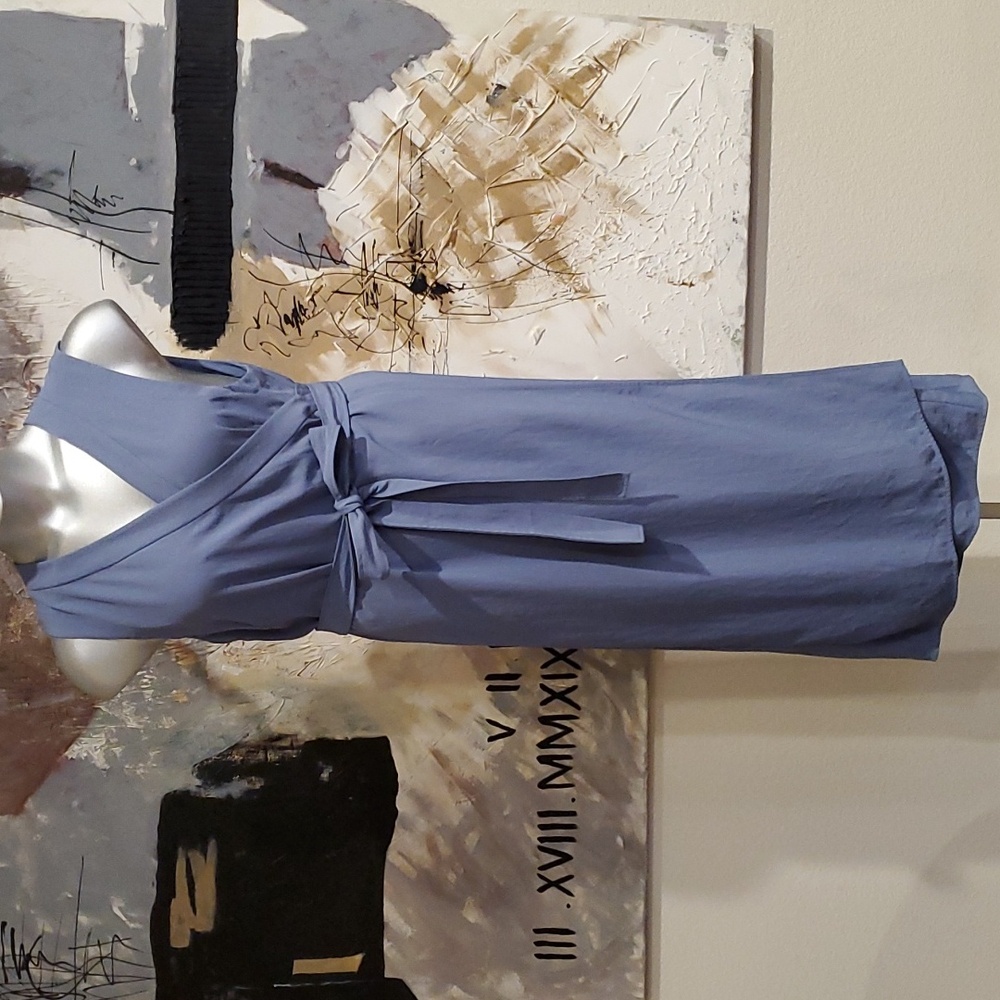 Everlane The Japanese GoWeave Blue Sleeveless Wrap Dress Women 12